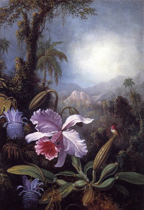 Martin Johnson Heade Orchids, Passion Flowers and Hummingbird